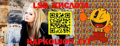 индика Будённовск
