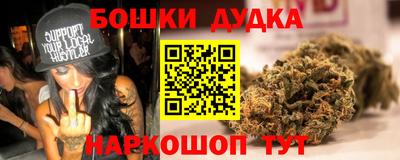 индика Будённовск