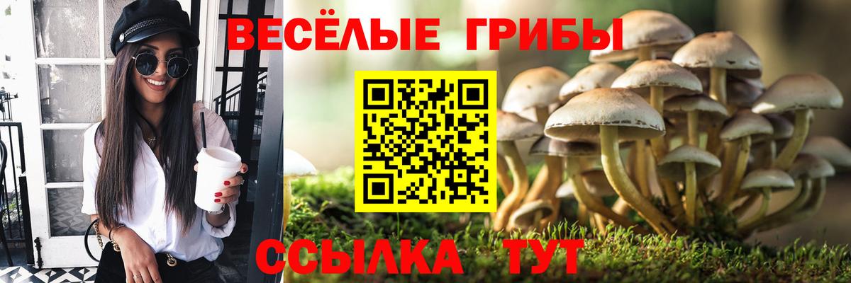 Сибай  Псилоцибиновые грибы мухоморы  Вход с VPN  Псилоцибиновые грибы MAGIC MUSHROOMS 